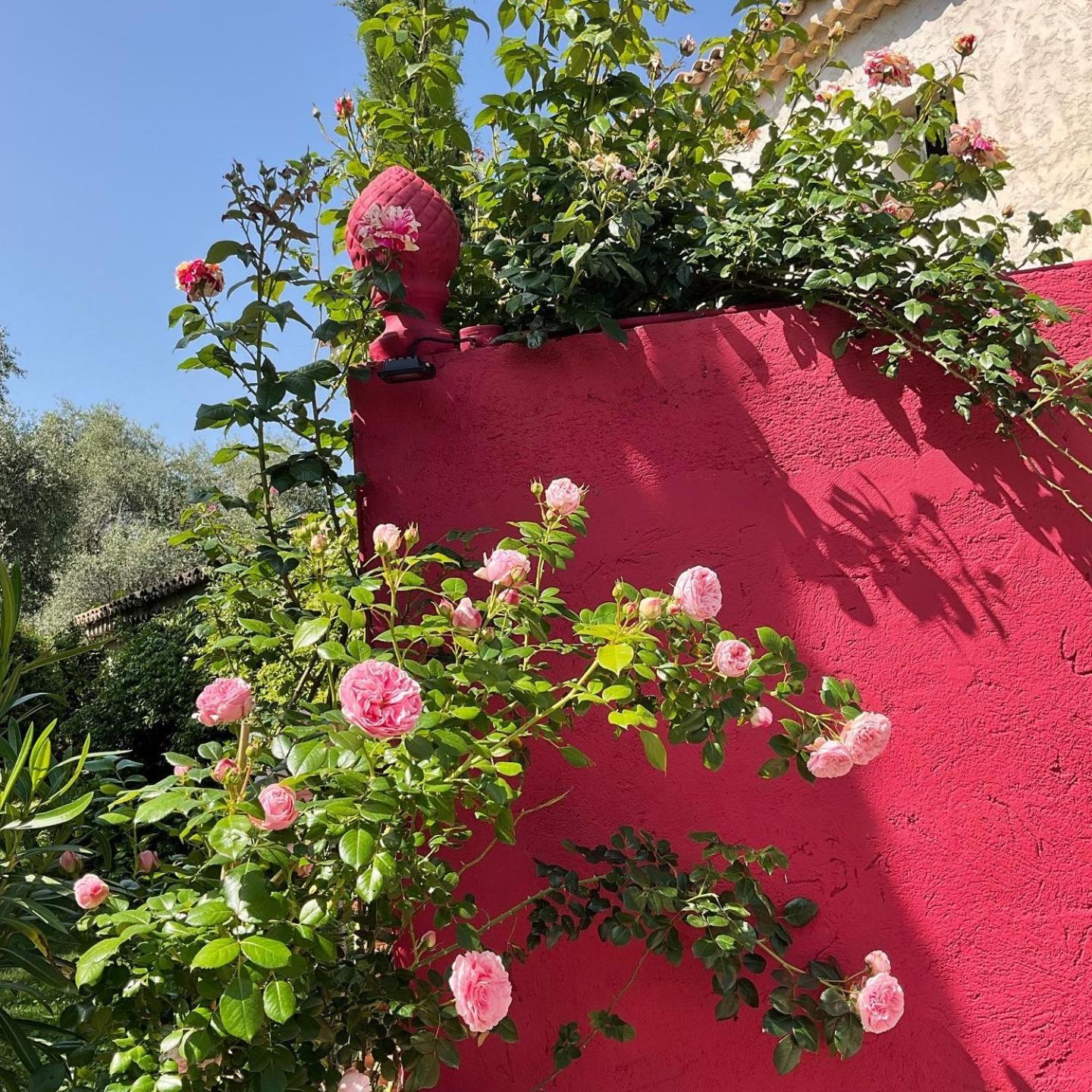 Mas De Provence En Riviera Hotel La Roquette-sur-Var Екстериор снимка